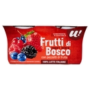 Yogurt Intero ai Frutti di Bosco, 2x125 g